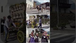 🎺 Sfilata Haflinger e Noriker a Strembo 2024  Haflinger und Noriker Umzug in Strembo 2024 [upl. by Allie597]