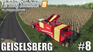 Harvesting Potatoes  Geiselsberg Timelapse 8  FS19 Timelapse  Farming Simulator 2019 [upl. by Trainor]