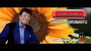 Gabriel Dorbantu Floarea Soarelui [upl. by Acima]