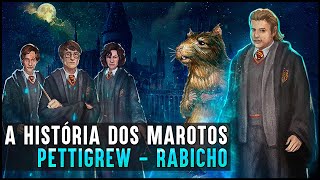 HOGWARTS UMA HISTÓRIA  MAROTOS RABICHO [upl. by Eanyl104]