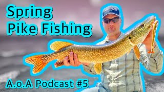 Spring Pike Fishing Ontario  Average Ontario Anglers Podcast  5 [upl. by Kylila]