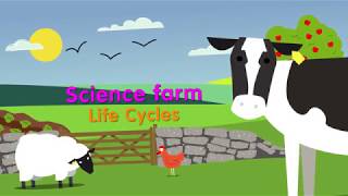 Science Farm  Life Cycles  KS1 [upl. by Frederik106]