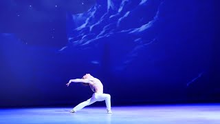 Daniil SimkinLe Corsaire Variation [upl. by Jehiah]