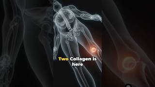 No Knee Pain The Undenatured Type II Collagen Magic [upl. by Booth873]