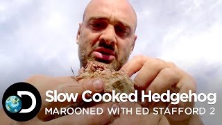 How Does A Slow Cooked Hedgehog Taste  Marooned with Ed Stafford S2E1 [upl. by Ylra727]