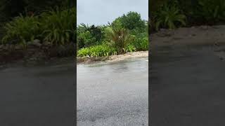 Hurricane Isaias In Long Island Bahamas [upl. by Winna332]