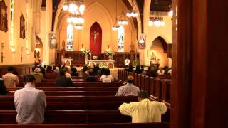 Communion during Novus Ordo Mass at St Patricks in Auckland [upl. by Rogers]