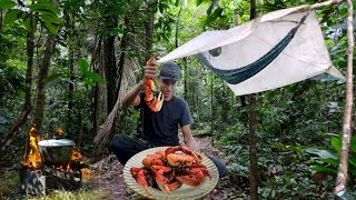 ACAMPAMENTO NA SELVA ACAMPEI E TIREI CARANGUEJO PRO JANTAR [upl. by Atiek]