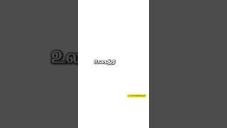 ஒரு மீட்பு அவருடைய இரத்தத்தினாலே உண்டாகும் அதுதான் உண்மையான மீட்பு  biblemessage faith instagram [upl. by Tennies172]