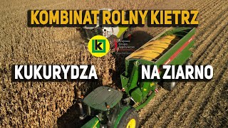 Kukurydza na ziarno w Kombinacie Kietrz Ponad 1000ha do wykoszenia Lexion 8900 Olimac Drago 16 [upl. by Nial]