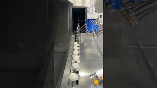 paint sprayermachine automatic automaticmachinery automatedmachine technology shortvideo [upl. by Gabriellia]