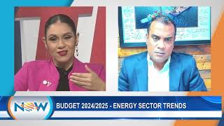 Budget 20242025  Energy Sector Trends [upl. by Eanrahs]