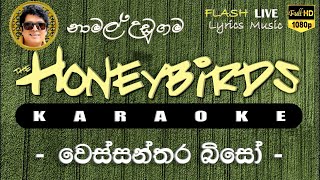 Wessanthara Biso Karaoke Without Voice වෙස්සන්තර බිසෝ කැරෝකේ [upl. by Huesman]