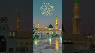 Islamic contact 🥰 foryou youtube islamiccontent [upl. by Winfield987]