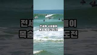 목숨걸고 도전하는 포르투칼의 거대한 파도 Portugal Nazaré surfing waves challenge [upl. by Anayk204]