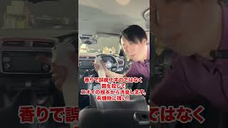 ドア開けた時ムアッって匂う車はエバポ洗浄にも使える消臭剤で車内除菌消臭したらいいんよ！ [upl. by Notxed]