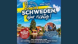 Kapitel 64  Schweden aber richtig Dein umfassender Guide zum Auswandern in das Land der [upl. by Oniger]