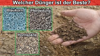 Hornspäne Blaukorn Natur Dünger anwenden  Womit soll ich düngen – Dünger Vergleich amp Unterschied [upl. by Adnana]