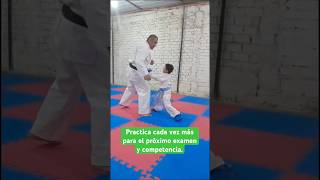 empezamos de cero y ahora mi hijo aprende algo más en karate [upl. by Naitsirk239]