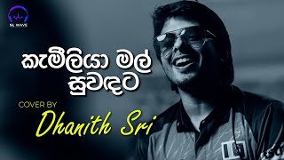 කැමීලියා මල් සුවඳට  Kameliya Mal Suwandata Cover  Dhanith Sri [upl. by Nerej846]