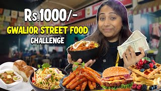 Living on Rs 1000 only STREET FOOD CHALLENGE  Gwalior  Episode2 [upl. by Galligan]