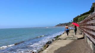 Bolinas [upl. by Yonit]