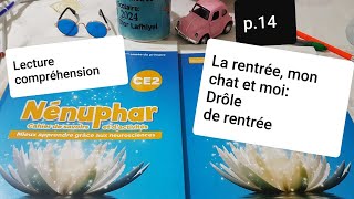 Lecture compréhensionLa rentréemon chat et moi Drôle de rentréeNénuphar CE2 p14 [upl. by Eceerahs55]