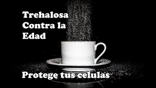 Suplemento Antiedad TREHALOSA Beneficios Antioxidantes y secreto de Longevidad y Antienvejecimiento [upl. by Scottie]