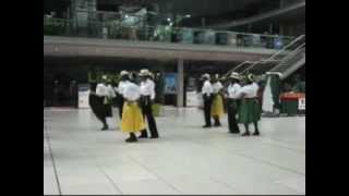 Traditional Jamaican Quadrille with JANUKA  and Boney M [upl. by Aikem533]