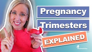 Pregnancy amp Trimesters Explained [upl. by Karol755]