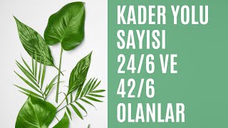 Numeroloji Hayat Amacı Hesaplama  Numeroloji Sayıların Anlamı  Kader Yolu Sayısı 246 426 [upl. by Addiel]