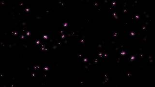 Falling Flower Petals Motion Background HD Free Video Background [upl. by Nannaihr879]