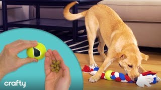 3 Super Simple DIY Dog Toys Your Dogs Will LOVE [upl. by Holihs]