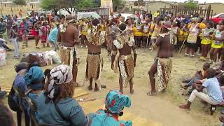 Traditional Zulu wedding 2023 [upl. by Arotahs]