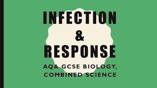 Infection and Response Revision  GCSE BiologyCombined Science [upl. by Celisse]