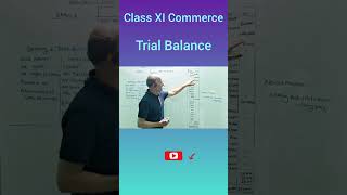 Trial Balance 🔥  Easy Explanation  Class XI  202425  CBSE  accountancy [upl. by Nnazus]