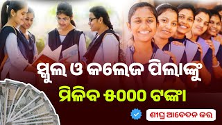 Odisha State New Scholarship Apply। Madho Singh Hata Kharcha Yojana। SC ST Category Scholarship New। [upl. by Dray456]