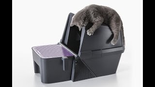 This selfcleaning litter box is a flipping joy for the humans [upl. by Mac]