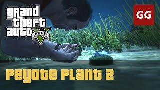 Peyote Plant 2 — GTA 5 [upl. by Arretak]