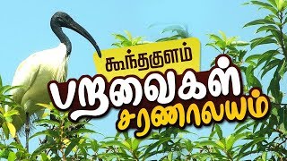 Koonthankulam birds sanctuary in Tirunelveli  பறவைகள் வாழ்விடம்  Nellai Koonthankulam [upl. by Naryt]