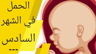 الحمل في الشهر السادس alhaml fi chahr 6  الجنين في الشهر السادس  أعراض الحمل في الشهر السادس [upl. by Atiz]