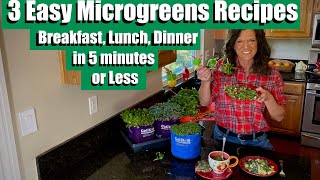 3 Easy Microgreens Recipes  Breakfast Lunch amp Dinner in 5 Minutes or Less  Indoor Gardening [upl. by Ahsinal]