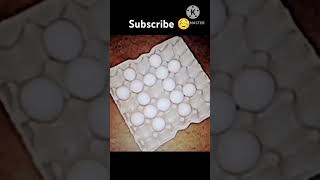 how many eggs in traysubscribe [upl. by Adore]