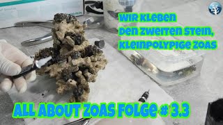 💦ALL ABOUT ZOAS Folge  33💦Wir kleben den zweiten Stein kleinpolypige Zoas💦 [upl. by Anerul]