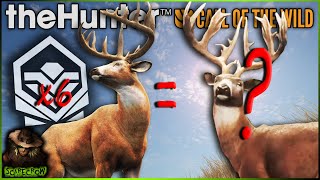 We Killed 6 Diamond Whitetail In 30 Minutes To Try And Get A Great One Call of the wild [upl. by Gnuhc]