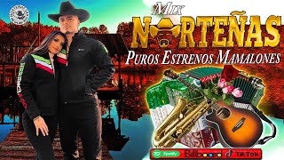 Las Norteñas Más Mamalonas Del 2023 30 Norteñas Exitos Cumbias Norteñas Mix 2023 5 [upl. by Lothar]