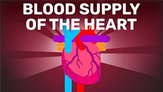 The Clever Supply of Blood to The Heart  Physiology [upl. by Gelman]