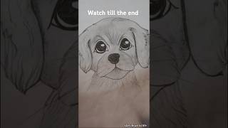 A cute Dog sketch dog dogsofinstagram doglover dogsketch drawingshorts [upl. by Charlene]