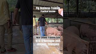 Pig Farming Business Training  Jangaon Telangana  Next Offline Training Date 10 to 12 November [upl. by Etnoved]