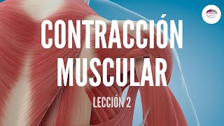 2 CONTRACCIÓN MUSCULAR FISIOLOGÍA MUSCULAR [upl. by Brana]